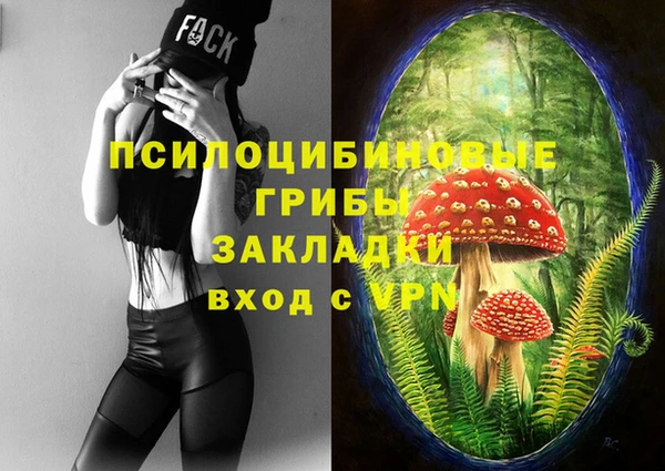 винт Верея