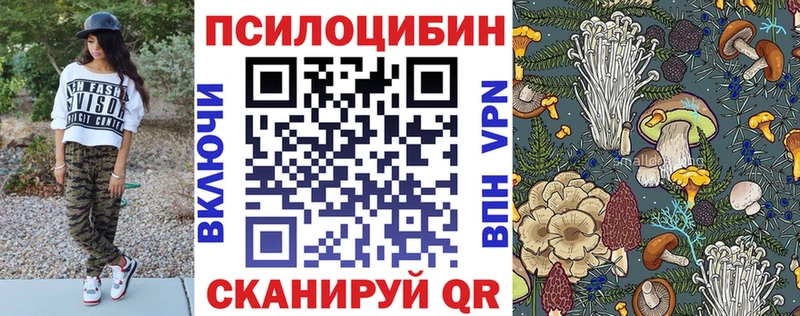 где продают   Плёс  Псилоцибиновые грибы Psilocybe 